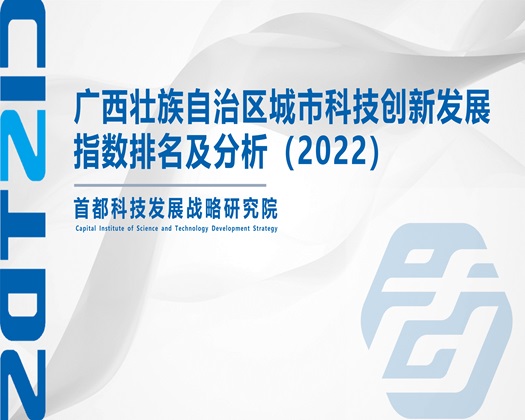 日日摸夜夜做肉肉射人色【成果发布】广西壮族自治区城市科技创新发展指数排名及分析（2022）